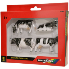 Friesian Cattle