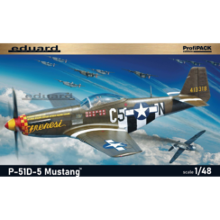 P51D-5 USAAF
