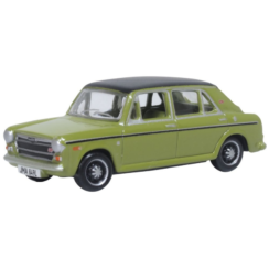 Austin 1300 Limeflower
